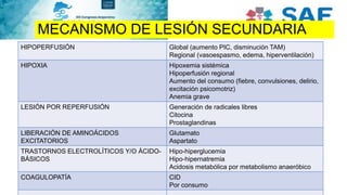 MECANISMO DE LESIÓN SECUNDARIA
HIPOPERFUSIÓN Global (aumento PIC, disminución TAM)
Regional (vasoespasmo, edema, hiperventilación)
HIPOXIA Hipoxemia sistémica
Hipoperfusión regional
Aumento del consumo (fiebre, convulsiones, delirio,
excitación psicomotriz)
Anemia grave
LESIÓN POR REPERFUSIÓN Generación de radicales libres
Citocina
Prostaglandinas
LIBERACIÓN DE AMINOÁCIDOS
EXCITATORIOS
Glutamato
Aspartato
TRASTORNOS ELECTROLÍTICOS Y/O ÁCIDO-
BÁSICOS
Hipo-hiperglucemia
Hipo-hipernatremia
Acidosis metabólica por metabolismo anaeróbico
COAGULOPATÍA CID
Por consumo
 