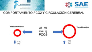 COMPORTAMIENTO PCO2 Y CIRCULACIÓN CEREBRAL
35- 40
mmHg
PCO2
FSC
PIC
FSC
PIC
Vasodilatación
Vasoconstricción
 