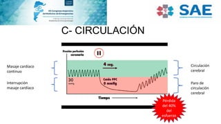 C- CIRCULACIÓN
Circulación
cerebral
Paro de
circulación
cerebral
Masaje cardíaco
continuo
Interrupción
masaje cardíaco
Pérdida
del 40%
del
esfuerzo
 