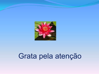Grata pela atenção
 