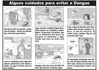 Cuidados para evitar a dengue