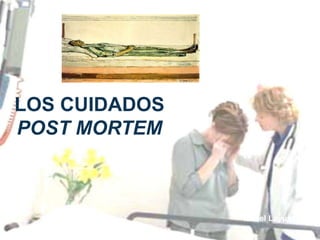 LOS CUIDADOS
POST MORTEM
Isabel Layunta
 