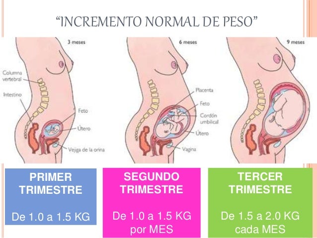 El tratamiento contra el fumar ulyanovsk