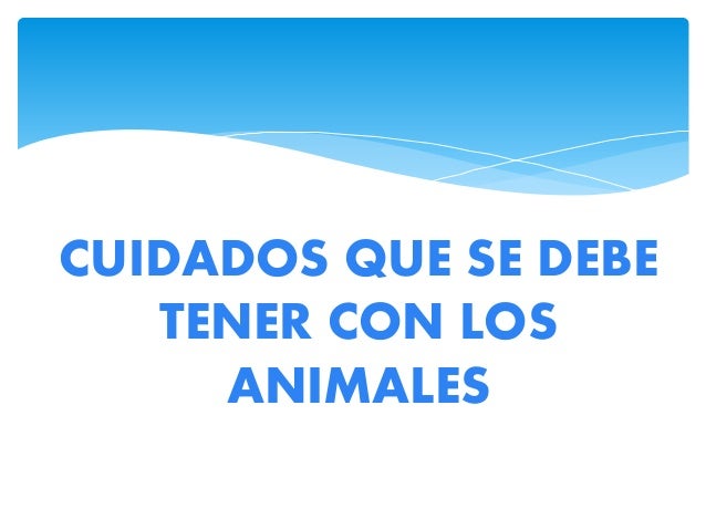 Lo que se puede hacer en la cocina 5