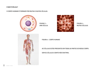 O QUE É CÉLULA?


          O CORPO HUMANO É FORMADO POR MUITAS E MUITAS CÉLULAS.




                                                    FIGURA 3 –                                            FIGURA 4 –
                                                    UMA CÉLULA                                            MUITAS CÉLULAS




                                                       FIGURA 4 – Corpo humano




                                                       AS CÉLULAS ESTÃO PRESENTES EM TODAS AS PARTES DO NOSSO CORPO.


                                                       SEM AS CÉLULAS A GENTE NÃO EXISTIRIA.




8          Ministério da Saúde
Ministério da Saúde                                                                            CUIDADOS DE SAÚDE ÀS PESSOAS COM SÍNDROME DE DOWN
                                                                                                                                                   8
 