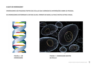 O QUE É UM CROMOSSOMO?


          CROMOSSOMOS SÃO PEQUENAS PARTES DAS CÉLULAS QUE CARREGAM AS INFORMAÇÕES SOBRE AS PESSOAS.


          OS CROMOSSOMOS DETERMINAM A COR DOS OLHOS, FORMATO DO NARIZ, ALTURA E MUITAS OUTRAS COISAS.




                      FIGURA 6 – UM                                  FIGURA 7 – CROMOSSOMO DENTRO
                      CROMOSSOMO                                     DA CÉLULA


Ministério da Saúde                                                                            CUIDADOS DE SAÚDE ÀS PESSOAS COM SÍNDROME DE DOWN
                                                                                                                                                   9
 