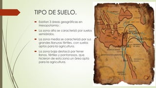 TIPO DE SUELO.
 Existían 3 áreas geográficas en
Mesopotamia :
 La zona alta se caracterizó por suelos
semiáridos.
 La zona media se caracterizó por sus
grandes llanuras fértiles, con suelos
aptos para la agricultura.
 La zona baja destacó por tener
llanos, fértiles y pantanosos, que
hicieron de esta zona un área apta
para la agricultura.
Zona alta
Zona baja
Zona media
 