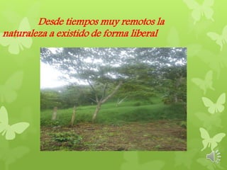 Desde tiempos muy remotos la
naturaleza a existido de forma liberal
 