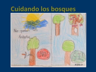Cuidando los bosques 
Andrés D. 
 