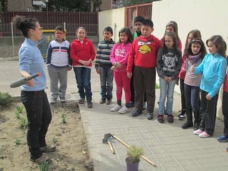 Cuidamos los árboles.Pereda.Leganés