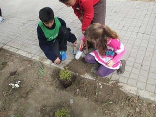 Cuidamos los árboles.Pereda.Leganés