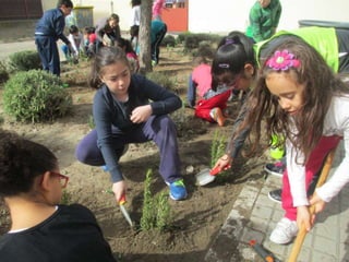 Cuidamos los árboles.Pereda.Leganés