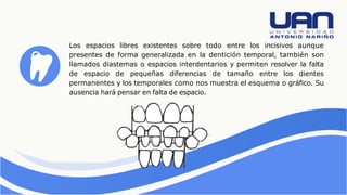 Los espacios libres existentes sobre todo entre los incisivos aunque
presentes de forma generalizada en la dentición temporal, también son
llamados diastemas o espacios interdentarios y permiten resolver la falta
de espacio de pequeñas diferencias de tamaño entre los dientes
permanentes y los temporales como nos muestra el esquema o gráfico. Su
ausencia hará pensar en falta de espacio.
 
