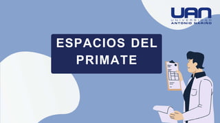 ESPACIOS DEL
PRIMATE
 