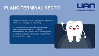 Este plano se refiere a que ambos planos están en un
mismo nivel formando una línea recta.
La cúspide mesiovestibular del segundo molar
superior primario ocluye en la cúspide
mesiovestibular del segundo molar inferior primario,
haciendo que las caras distales de ambos molares
formen una línea recta.
PLANO TERMINAL RECTO
 