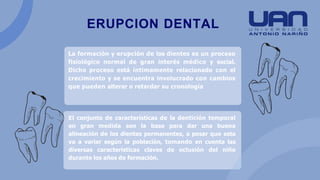 ERUPCION DENTAL
La formación y erupción de los dientes es un proceso
fisiológico normal de gran interés médico y social.
Dicho proceso está íntimamente relacionado con el
crecimiento y se encuentra involucrado con cambios
que pueden alterar o retardar su cronología
El conjunto de características de la dentición temporal
en gran medida son la base para dar una buena
alineación de los dientes permanentes, a pesar que esta
va a variar según la población, tomando en cuenta las
diversas características claves de oclusión del niño
durante los años de formación.
 