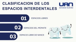 CLASIFICACION DE LOS
ESPACIOS INTERDENTALES
01
02
03
ESPACIOS LIBRES
ESPACIOS DEL PRIMATE
ESPACIO LIBRE DE NANCE
 