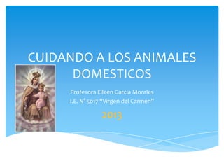 CUIDANDO A LOS ANIMALES
DOMESTICOS
Profesora Eileen Garcia Morales
I.E. N° 5017 “Virgen del Carmen”
2013
 