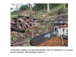 AS ÁRVORES LIMPAM O AR QUE RESPIRAMOS , NOS DÁ SOMBRAS E É A CASA DE 
MUITOS ANIMAIS. NÃO PODEMOS CORTA-LA 
 