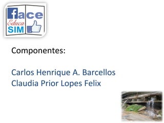Componentes:
Carlos Henrique A. Barcellos
Claudia Prior Lopes Felix
 