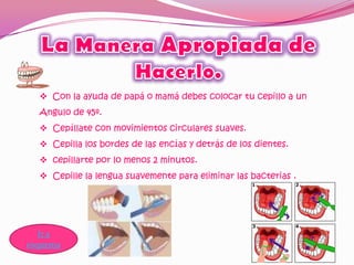  Con la ayuda de papá o mamá debes colocar tu cepillo a un
  Angulo de 45º.
   Cepíllate con movimientos circulares suaves.
   Cepilla los bordes de las encías y detrás de los dientes.
   cepillarte por lo menos 2 minutos.
   Cepille la lengua suavemente para eliminar las bacterias .




   Ir a
esquema
 