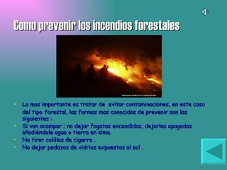 Como prevenir los incendios forestales Lo mas importante es tratar de  evitar contaminaciones, en este caso del tipo   forestal, las formas mas conocidas de prevenir son las siguientes :  Si van acampar ; no dejar fogatas encendidas, dejarlas apagadas añadiéndole agua o tierra en sima. No tirar colillas de cigarro . No dejar pedazos de vidrios expuestos al sol .  