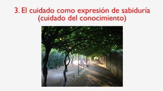 3. El cuidado como expresión de sabiduría
(cuidado del conocimiento)
 