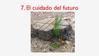 7. El cuidado del futuro
 