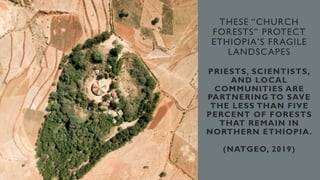 THESE “CHURCH
FORESTS” PROTECT
ETHIOPIA’S FRAGILE
LANDSCAPES
PRIESTS, SCIENTISTS,
AND LOCAL
COMMUNITIES ARE
PARTNERING TO SAVE
THE LESS THAN FIVE
PERCENT OF FORESTS
THAT REMAIN IN
NORTHERN ETHIOPIA.
(NATGEO, 2019)
 