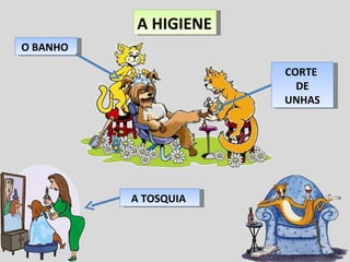 A HIGIENE CORTE  DE UNHAS  O BANHO  A TOSQUIA  