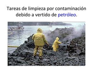 Tareas de limpieza por contaminación
debido a vertido de petróleo.

 
