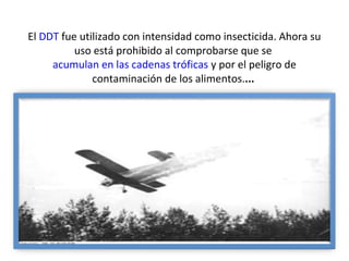 El DDT fue utilizado con intensidad como insecticida. Ahora su
uso está prohibido al comprobarse que se
acumulan en las cadenas tróficas y por el peligro de
contaminación de los alimentos....

 