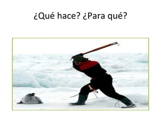 ¿Qué hace? ¿Para qué?

 