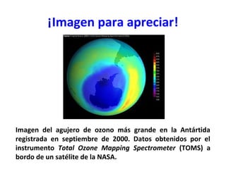 ¡Imagen para apreciar!

Imagen del agujero de ozono más grande en la Antártida
registrada en septiembre de 2000. Datos obtenidos por el
instrumento Total Ozone Mapping Spectrometer (TOMS) a
bordo de un satélite de la NASA.

 