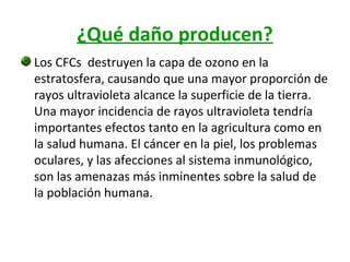 ¿Qué daño producen?
Los CFCs destruyen la capa de ozono en la
estratosfera, causando que una mayor proporción de
rayos ultravioleta alcance la superficie de la tierra.
Una mayor incidencia de rayos ultravioleta tendría
importantes efectos tanto en la agricultura como en
la salud humana. El cáncer en la piel, los problemas
oculares, y las afecciones al sistema inmunológico,
son las amenazas más inminentes sobre la salud de
la población humana.

 