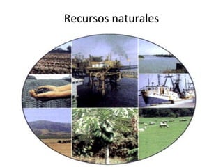 Recursos naturales

 