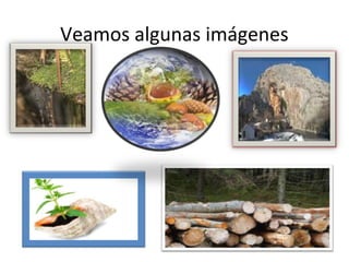 Veamos algunas imágenes

 