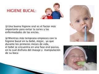 HIGIENE BUCAL:

 Una buena higiene oral es el factor más
importante para evitar la caries y las
enfermedades de las encías.
 Mientras más temprano empieces con la
higiene bucal en tu bebé, mejor, ya que
durante los primeros meses de vida,
el bebé se encuentra en una fase oral pasiva,
en la cual disfruta del masaje y manipulación
de su boca

 