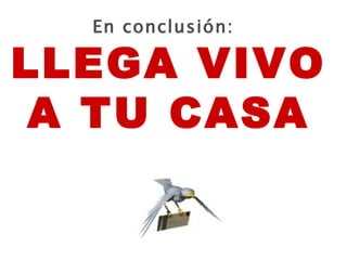 En conclusión: LLEGA VIVO A TU CASA 