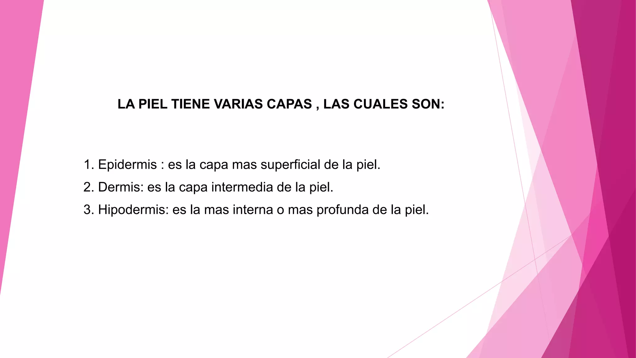 LA PIEL TIENE VARIAS CAPAS , LAS CUALES SON:
1. Epidermis : es la capa mas superficial de la piel.
2. Dermis: es la capa intermedia de la piel.
3. Hipodermis: es la mas interna o mas profunda de la piel.
 