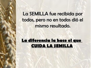 La SEMILLA fue recibida porLa SEMILLA fue recibida por
todos, pero no en todos dió eltodos, pero no en todos dió el
mismo resultado.mismo resultado.
La diferencia la hace el queLa diferencia la hace el que
CUIDA LA SEMILLACUIDA LA SEMILLA
 