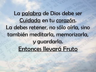 La palabra de Dios debe ser
Cuidada en tu corazón.
La debes retener, no sólo oírla, sino
también meditarla, memorizarla,
y guardarla.
Entonces llevará Fruto
 