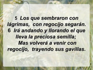 5 Los que sembraron conLos que sembraron con
lágrimas, con regocijo segarán.lágrimas, con regocijo segarán.
6 Irá andando y llorando el queIrá andando y llorando el que
lleva la preciosa semilla;lleva la preciosa semilla;
Mas volverá a venir conMas volverá a venir con
regocijo, trayendo sus gavillasregocijo, trayendo sus gavillas.
 