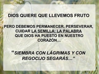 PERO DEBEMOS PERMANECER, PERSEVERAR,PERO DEBEMOS PERMANECER, PERSEVERAR,
CUIDARCUIDAR LA SEMILLA: LA PALABRALA SEMILLA: LA PALABRA
QUE DIOS HA PUESTO EN NUESTROQUE DIOS HA PUESTO EN NUESTRO
CORAZÓN…CORAZÓN…
DIOS QUIERE QUE LLEVEMOS FRUTODIOS QUIERE QUE LLEVEMOS FRUTO
““SIEMBRA CON LÁGRIMAS Y CONSIEMBRA CON LÁGRIMAS Y CON
REGOCIJO SEGARÁS…”REGOCIJO SEGARÁS…”
 
