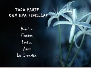 TODO PARTETODO PARTE
CON UNA SEMILLA:CON UNA SEMILLA:
Hombre
Plantas
Frutos
Aves
La Creación
 