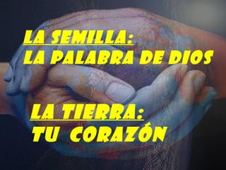 LA SEMILLA:
LA PALABRA DE DIOS
LA TIERRA:
TU CORAZÓN
 