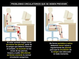 Al estar sentado largas horas sin mover las piernas , parte de  la sangre que debería retornar  al corazón,  se acumula  en las  venas de las piernas,  brazos y cuello  dificultando  en forma creciente  la normal  circulación sanguínea. De forma  periódica y activa debemos  mover  suave y  regularmente las  piernas   para que la  circulación  de  la  sangre  sea adecuada en todo momento. PROBLEMAS CIRCULATORIOS QUE SE DEBEN PREVENIR 