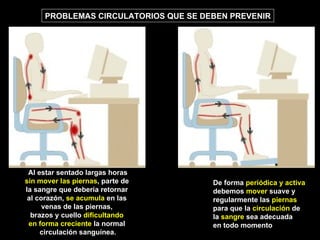 Al estar sentado largas horas sin mover las piernas , parte de  la sangre que debería retornar  al corazón,  se acumula  en las  venas de las piernas,  brazos y cuello  dificultando  en forma creciente  la normal  circulación sanguínea. De forma  periódica y activa debemos  mover  suave y  regularmente las  piernas   para que la  circulación  de  la  sangre  sea adecuada en todo momento PROBLEMAS CIRCULATORIOS QUE SE DEBEN PREVENIR 