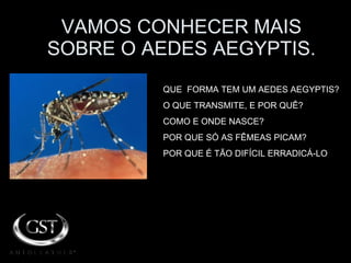 VAMOS CONHECER MAIS SOBRE O AEDES AEGYPTIS. QUE  FORMA TEM UM AEDES AEGYPTIS? O QUE TRANSMITE, E POR QUÊ? COMO E ONDE NASCE?  POR QUE SÓ AS FÊMEAS PICAM?  POR QUE É TÃO DIFÍCIL ERRADICÁ-LO  