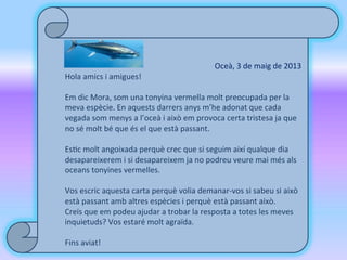  	
  	
  	
  	
  	
  	
  	
  	
  	
  	
  	
  	
  	
  	
  	
  	
  	
  	
  	
  	
  	
  	
  	
  	
  	
  	
  	
  	
  	
  	
  	
  	
  	
  	
  	
  	
  
	
  
	
  	
  
	
  	
  
Oceà,	
  3	
  de	
  maig	
  de	
  2013	
  
Hola	
  amics	
  i	
  amigues!	
  
	
  
Em	
  dic	
  Mora,	
  som	
  una	
  tonyina	
  vermella	
  molt	
  preocupada	
  per	
  la	
  
meva	
  espècie.	
  En	
  aquests	
  darrers	
  anys	
  m’he	
  adonat	
  que	
  cada	
  
vegada	
  som	
  menys	
  a	
  l’oceà	
  i	
  això	
  em	
  provoca	
  certa	
  tristesa	
  ja	
  que	
  
no	
  sé	
  molt	
  bé	
  que	
  és	
  el	
  que	
  està	
  passant.	
  	
  
	
  
Es2c	
  molt	
  angoixada	
  perquè	
  crec	
  que	
  si	
  seguim	
  així	
  qualque	
  dia	
  
desapareixerem	
  i	
  si	
  desapareixem	
  ja	
  no	
  podreu	
  veure	
  mai	
  més	
  als	
  
oceans	
  tonyines	
  vermelles.	
  
	
  
Vos	
  escric	
  aquesta	
  carta	
  perquè	
  volia	
  demanar-­‐vos	
  si	
  sabeu	
  si	
  això	
  
està	
  passant	
  amb	
  altres	
  espècies	
  i	
  perquè	
  està	
  passant	
  això.	
  
Creïs	
  que	
  em	
  podeu	
  ajudar	
  a	
  trobar	
  la	
  resposta	
  a	
  totes	
  les	
  meves	
  
inquietuds?	
  Vos	
  estaré	
  molt	
  agraïda.	
  
	
  
Fins	
  aviat!	
  
	
  
 